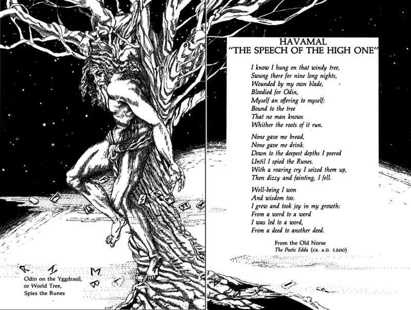 Odin pendu à Yggdrasil